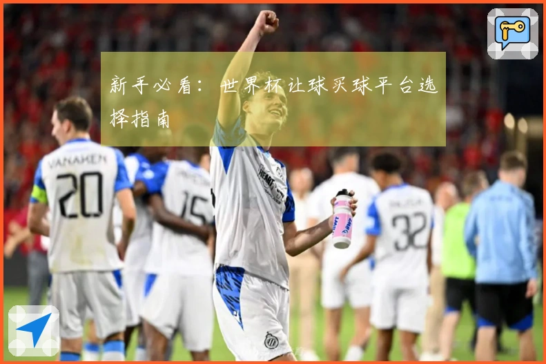 新手必看：世界杯让球买球平台选择指南