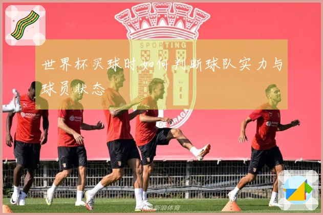 世界杯买球时如何判断球队实力与球员状态