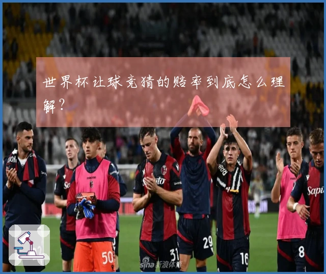 世界杯让球竞猜的赔率到底怎么理解?