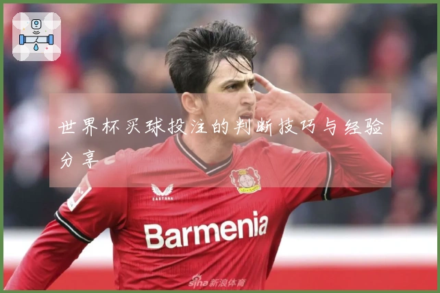 世界杯买球投注的判断技巧与经验分享