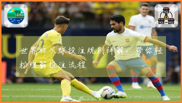 世界杯买球投注规则详解，带你轻松理解投注流程