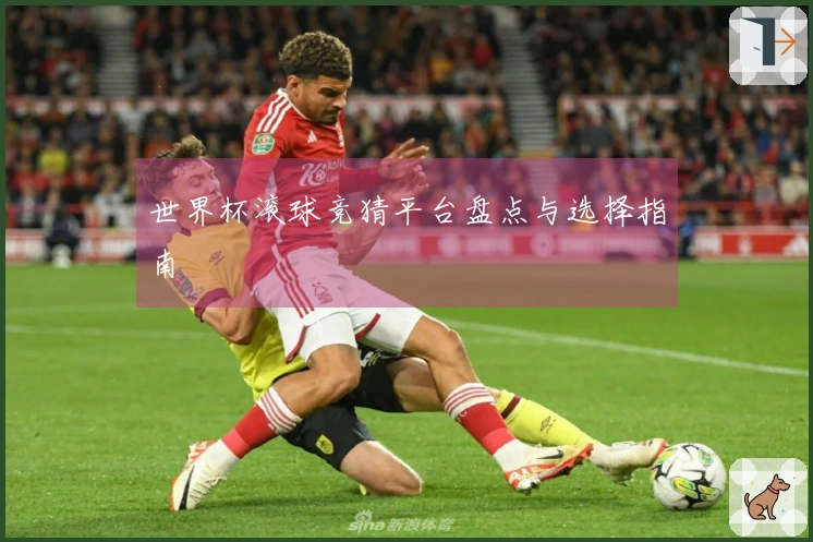 世界杯滚球竞猜平台盘点与选择指南