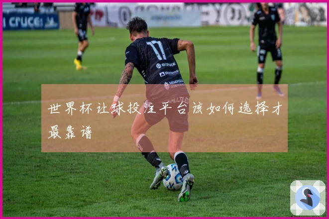 世界杯让球投注平台该如何选择才最靠谱