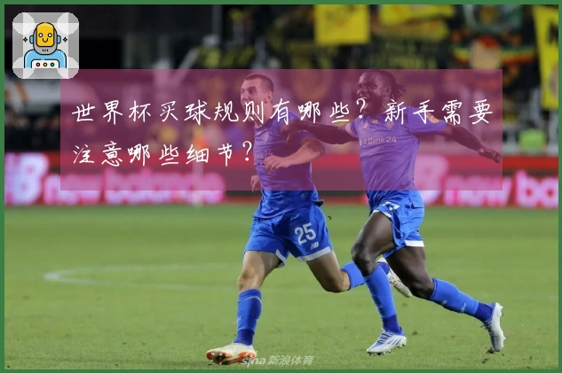 世界杯买球规则有哪些？新手需要注意哪些细节？
