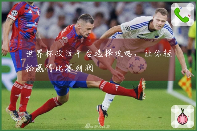 世界杯投注平台选择攻略，让你轻松赢得比赛利润