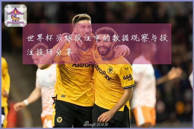 世界杯买球投注中的数据观察与投注技巧分享