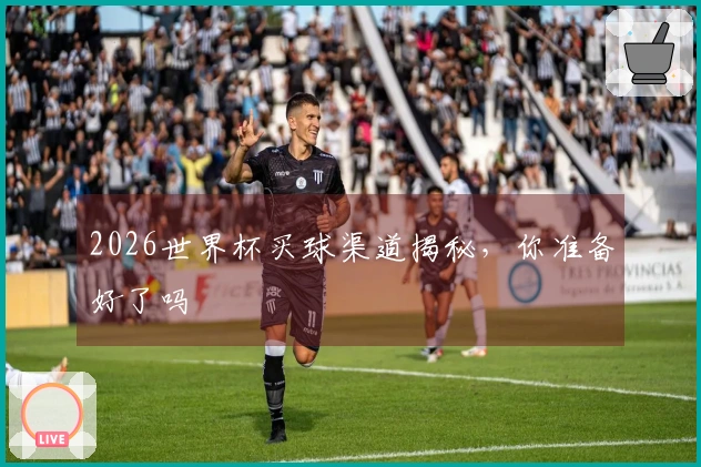 2026世界杯买球渠道揭秘，你准备好了吗