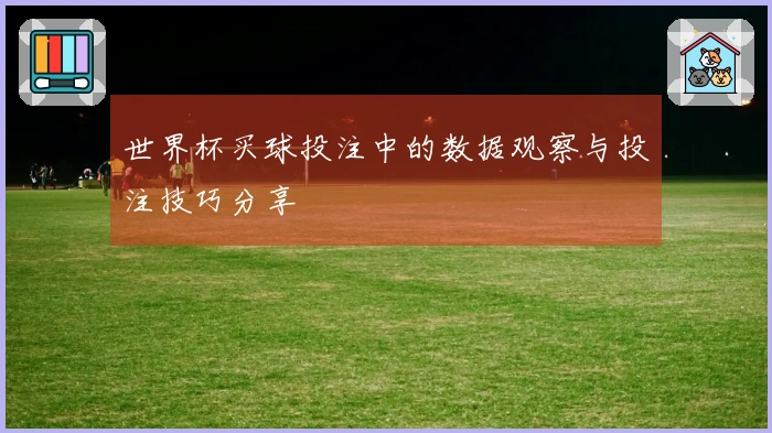 世界杯买球投注中的数据观察与投注技巧分享
