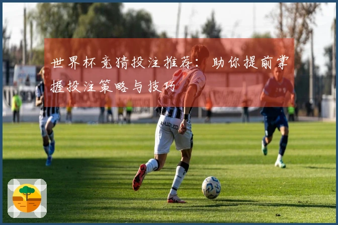世界杯竞猜投注推荐：助你提前掌握投注策略与技巧