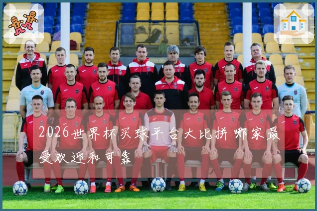 2026世界杯买球平台大比拼 哪家最受欢迎和可靠