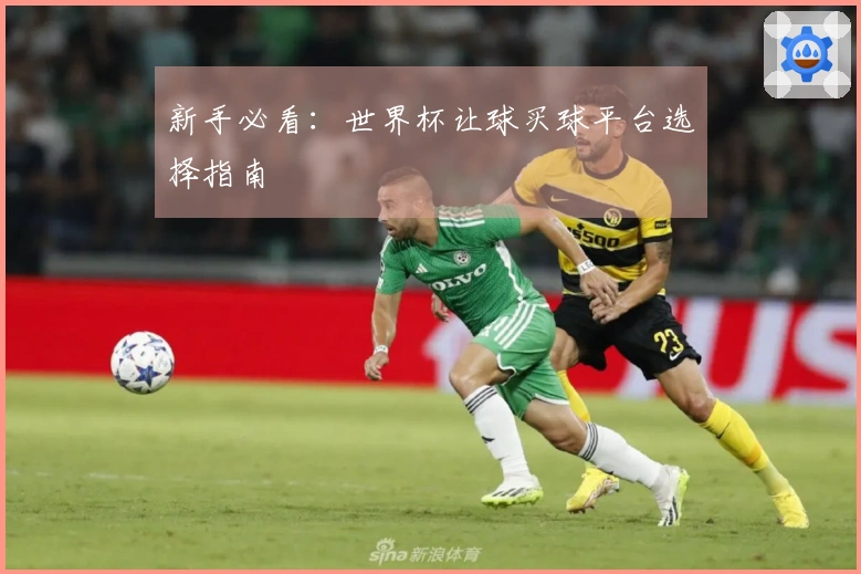 新手必看：世界杯让球买球平台选择指南