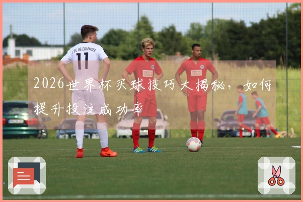 2026世界杯买球技巧大揭秘，如何提升投注成功率
