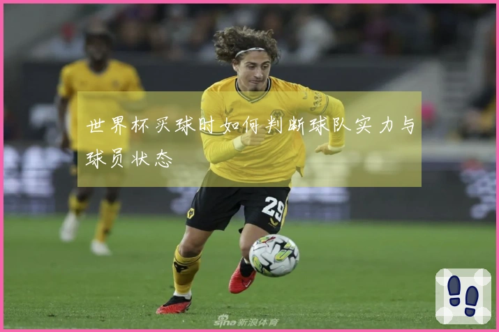 世界杯买球时如何判断球队实力与球员状态