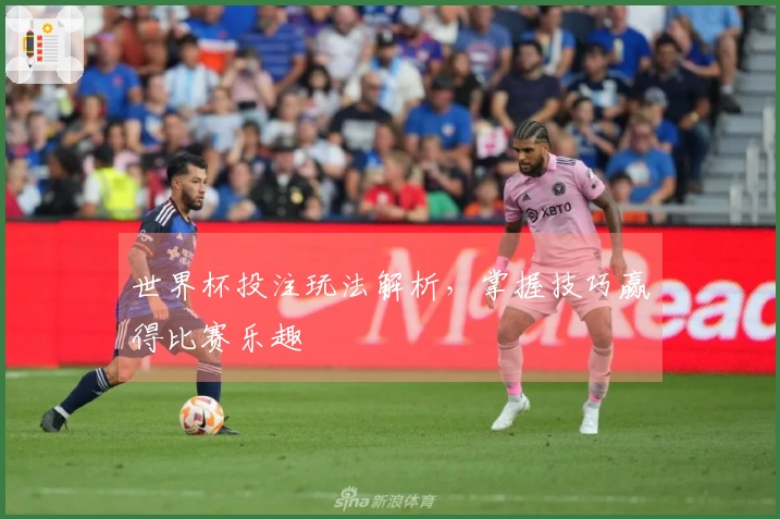 世界杯投注玩法解析，掌握技巧赢得比赛乐趣