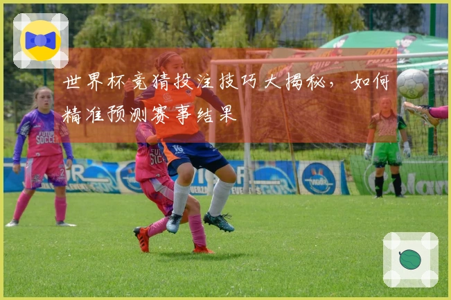 世界杯竞猜投注技巧大揭秘，如何精准预测赛事结果